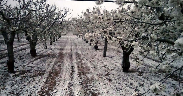 La Neve Imbianca Monti Dauni E Gargano Scuole Chiuse In Molti Comuni