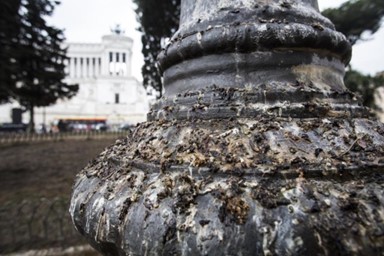 Il Guano influenza Negativamente L'Economia dei Comuni Italiani