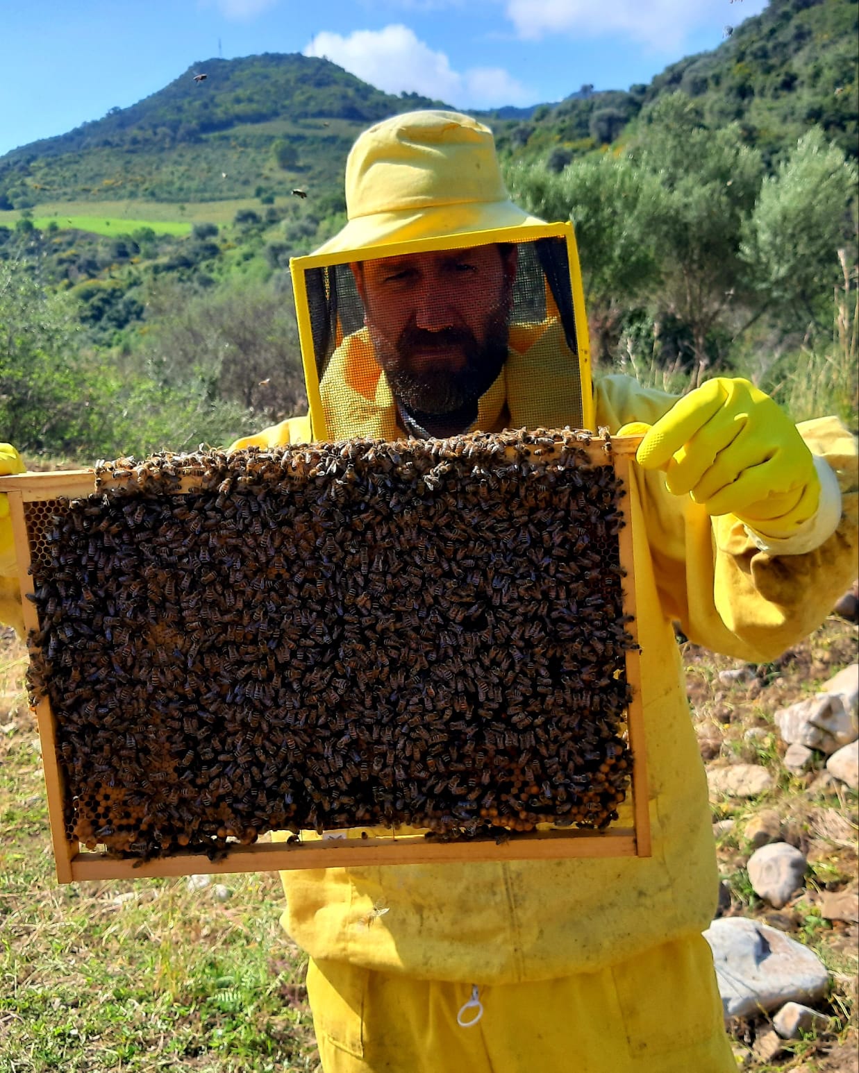 L’Ape Maurina, un progetto di sostenibilità e formazione a San Mauro Castelverde (Pa)