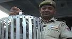 India, messaggio di minacce al premier: arrestato il piccione viaggiatore