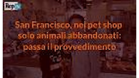 San Francisco, nuova legge per i negozi di animali: in vendita solo cani e gatti abbandonati