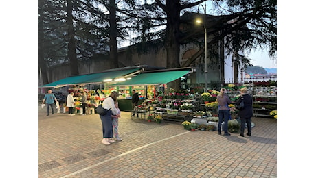 Defunti, per la festa Ognissanti nuove tipologie di fiori. Aumenta il prezzo medio