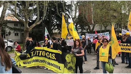 Grande partecipazione alla manifestazione nazionale Usciamo dalla camera a gas a Ravenna