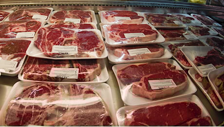 Trump vuole che compriamo la carne Usa trattata con gli ormoni (e auto meno sicure)