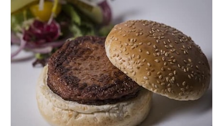 Hamburger Fileni Bio richiamati per rischio salmonella: i lotti interessati