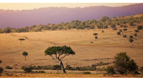 Oceania 2 e Mufasa - Il re Leone, in viaggio con i film Disney