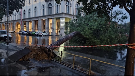 Maltempo a Bologna: la città colpita da una nuova alluvione