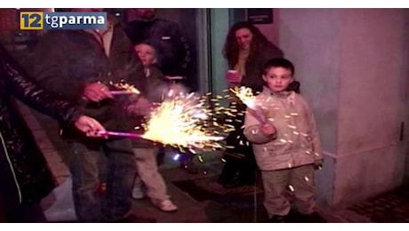 Botti di Capodanno vietati a Parma. Appello del vicesindaco Lavagetto: Rispettate gli animali - Video