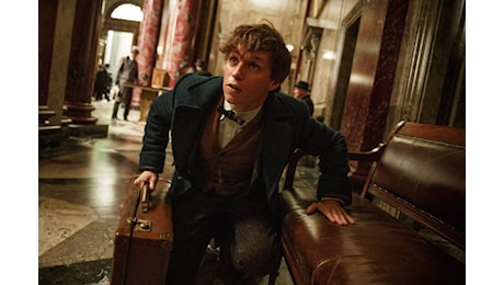 Anmali fantastici: Eddie Redmayne aggiorna sul futuro di Newt Scamander