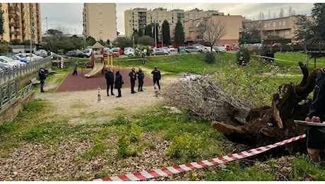 Crolla un albero a Roma, morta una donna in un parco a Colli Aniene: passeggiava con un'amica (rimasta ferita) e i 3 figli