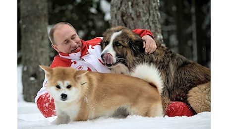 Oggi è il Compleanno di Vladimir Putin, Dai servizi segreti a Presidente, amico con Berlusconi e amante degli animali