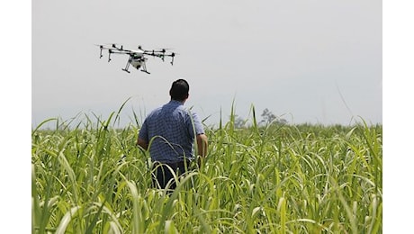 Filiera Italia coordina tavolo agroalimentare a Forum Italia-Libia