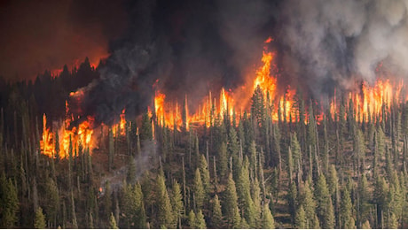 MONDO – Incendi in Russia: incenerito un milione di ettari di foresta