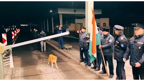 Romania, è un cane il primo ad attraversare lo spazio Schengen