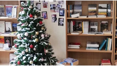 Quali libri mettere sotto l’albero? I consigli di lettura per il Natale