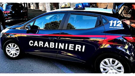 Violenza sessuale su una bimba di 11 anni a Mestre: cronaca di un orrore