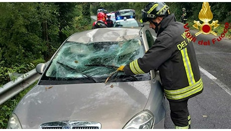 Narni, maltempo: un ramo precipita su un'auto in marcia. Illesi gli occupanti