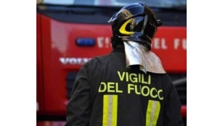 Albero crolla sulla strada: tre famiglie bloccate in casa a Manziana