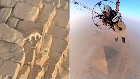 Egitto: c'è un cane in cima alla Grande Piramide di Giza, il luogo vietato all'uomo