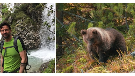 Abbattimento di Kj1? Evento giustificato, il presidente del Parco Adamello Brenta: Non può esserci spazio per i grandi carnivori che attaccano l'uomo