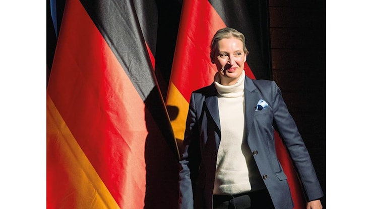 Afd, definita «partito estremista», fa causa ai servizi segreti tedeschi - Corriere della Sera Afd, definita «partito estremista», fa causa ai servizi segreti tedeschi - Corriere della Sera