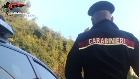 Trovato un cadavere nei boschi dell'isola d'Elba, indagini in corso