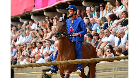 Palio di Siena del 2 luglio 2024: il Nicchio con il cavallo scosso vince la Prova generale