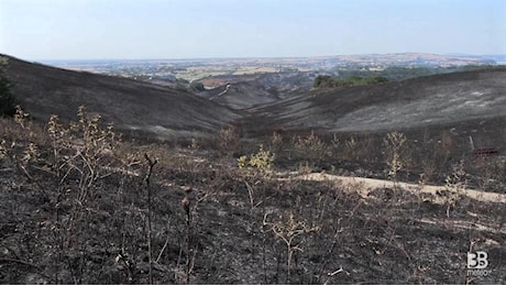 Cronaca Roma, incendio a Cesano: colline bruciate e focolai ancora attivi: video