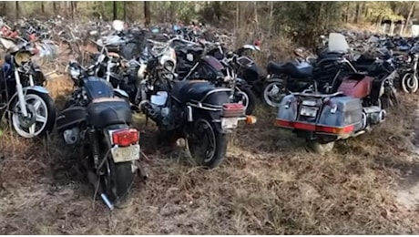 Più di 4'000 moto abbandonate in un bosco: come sono arrivate lì? (Presenti anche alcuni modelli rari) - News