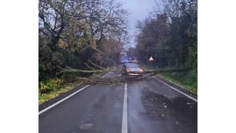 Vento forte, nuova allerta meteo in provincia: sarà valida fino alla mezzanotte di sabato