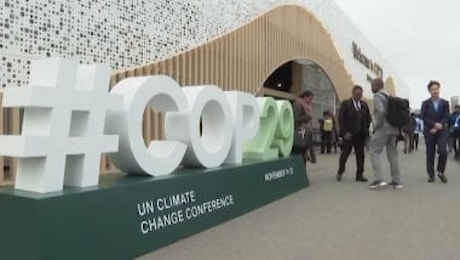 Tg Green 14 novembre - Al via i negoziati sul clima alla Cop29