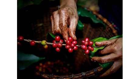 Sylvie Goulard (International Advisory Panel on Biodiversity Credits): «I crediti di biodiversità devono avere un valore aggiunto per la natura, misurabile e trasparente»