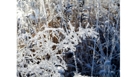 Assaggio invernale sull’Italia: cosa aspettarsi dal meteo nel week-end