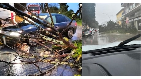 Il maltempo flagella la costa maceratese, rami e alberi caduti: vigili del fuoco in azione