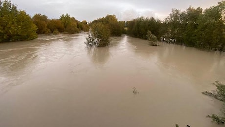 Fiumi in Emilia Romagna, il maltempo li fa ingrossare: preoccupa la piena dell’Enza. La diretta