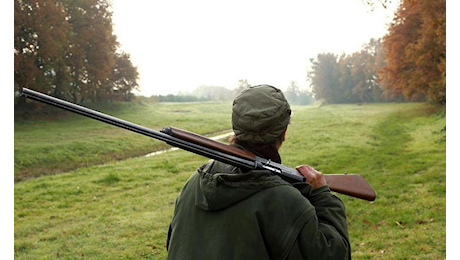 Caccia ai cervi in Abruzzo: dopo la sospensiva il dibattito continua