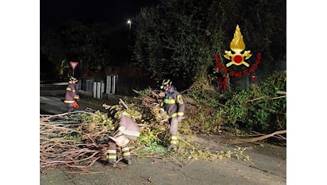 Prato, alberi caduti e danni a causa del maltempo