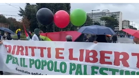 IL VIDEO. Manifestazione pro Palestina a Roma, la protesta sotto la pioggia