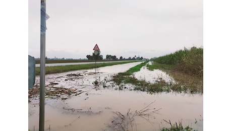 Pioggia e disagi. I campi si allagano e le frazioni rimangono isolate a causa del maltempo. Colpite anche Piacenza e Mantova