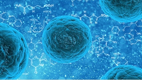 Il Virus Oropouche si trasmette (anche) per via sessuale: quali sono i sintomi