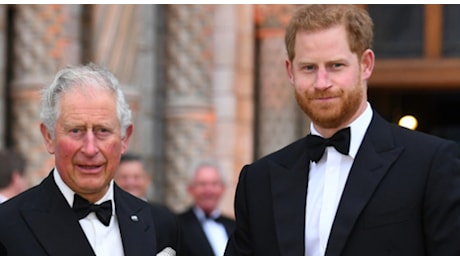 «Harry? Ha fatto una cosa vergognosa. Carlo non si fida più di lui. Inutile sperare: non ci sarà nessuna pace. La finisse di piagnucolare»