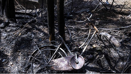 Monte Mario, la Procura crede all'incendio doloso: «Fiamme troppo veloci». L'ipotesi di 3 inneschi