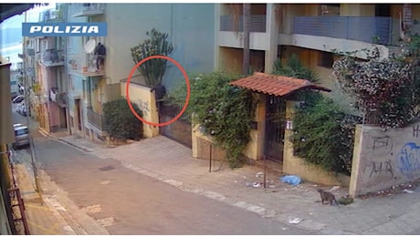 Reggio Calabria, sgominata banda di ladri d’appartamento: il prefetto elogia la Polizia di Stato