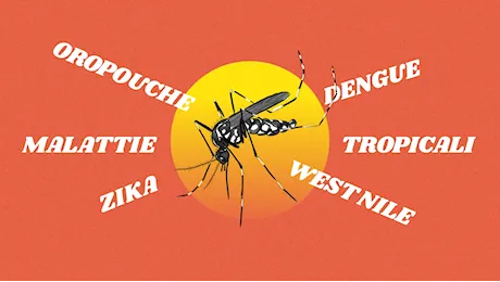 Malattie tropicali in Lombardia: sempre più casi di febbre Oropouche, Dengue, West Nile e Zika
