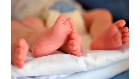 Reggio Calabria, neonati morti nascosti in un armadio: per il garante Marziale è “enorme assurdità”