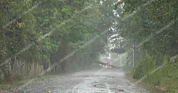 Maltempo A Roma E Nel Lazio: Diramata L'allerta Meteo Gialla Per ...