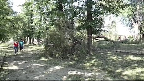 Torino, dopo la maxi grandinata alberi schiantati e semafori distrutti