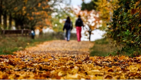 Meteo: weekend di Ognissanti con bel tempo e temperature (di molto) sopra la media