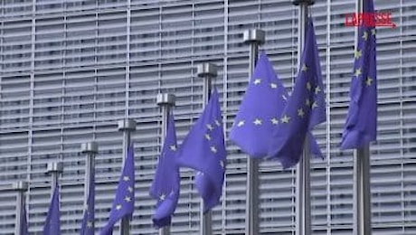 Commissione Ue a Musk: Libertà di parola ma non abusi di X