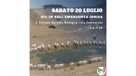 Sicilia. Domani sit-in del PD Sicilia in azienda agricola di Caltanissetta